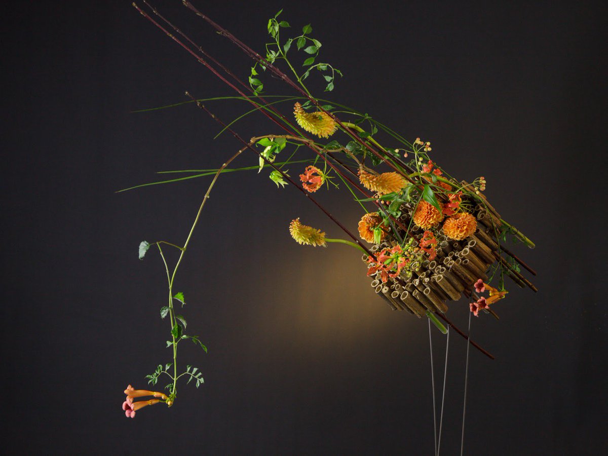 FLOOSWEB's tweet photo. Did you know…?

Subscribing to #FLOOS now will give you access to over 300 floral design recipes in our library, such as this beautiful ‘Orange flowers’ by #AlexChoi >> https://t.co/BePAXz0hKG 

#TheCraftersSecret #FloralDesign https://t.co/1C60lugBlu
