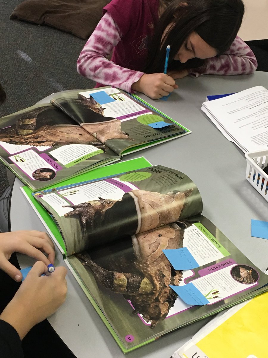 Mrs. Farrell's Class tweet media
