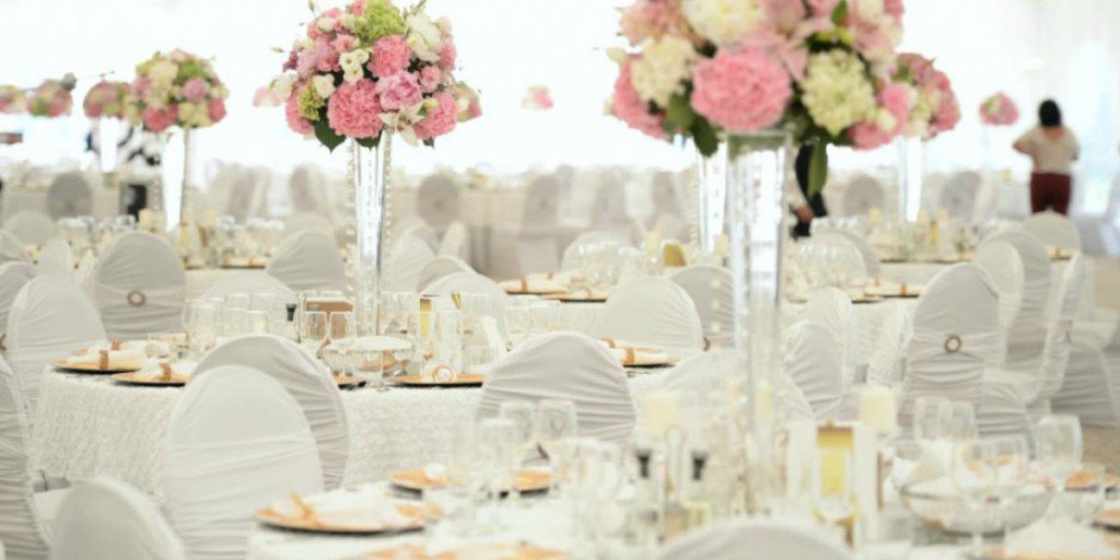 Terrou-Bi tweet media