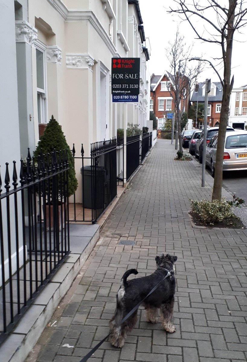 KF_SWLondon's tweet photo. #KFBarnes board #spotted out and about in #Putney #SW15 π‘π‘ #ForSale #propertyforsale #Property https://t.co/Y9eC3JmCxR