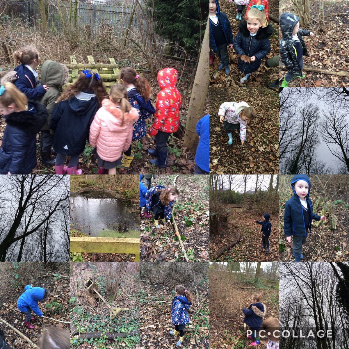 FPS_R_Gruffalos's tweet photo. Forest school morning ๐ฟ๐๐
Looking for changes in our outdoor environment #frozenpond #noleavesontrees #stormDylan https://t.co/y1RRYVioaj