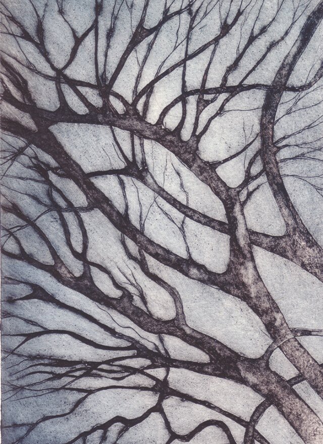 rachelthered's tweet photo. Couple of places on my Friday am Print Class this term at @Northlightart if u fancy it #printclass #hebdenbridge https://t.co/4BifP3rFsW