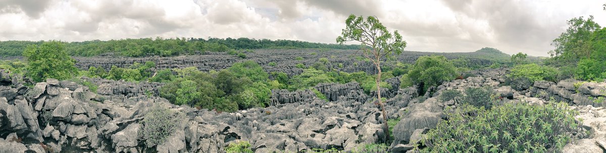LennyQuickly's tweet photo. #Madagascar #Tsingy #Bamaraha #Unesco #Mahajanga #LimestoneCliffs https://t.co/o6ZHHix0xi