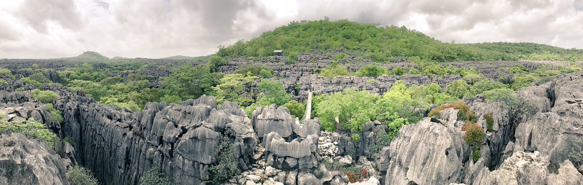 LennyQuickly's tweet photo. #Madagascar #Tsingy #Bamaraha #Unesco #Mahajanga #LimestoneCliffs https://t.co/o6ZHHix0xi
