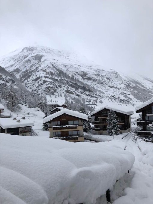 Προβολή εικόνας στο Twitter