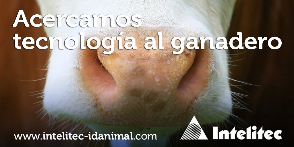 Intelitec's tweet photo. En #Intelitec acercamos tecnología al ganadero https://t.co/JxLJKiYdJf