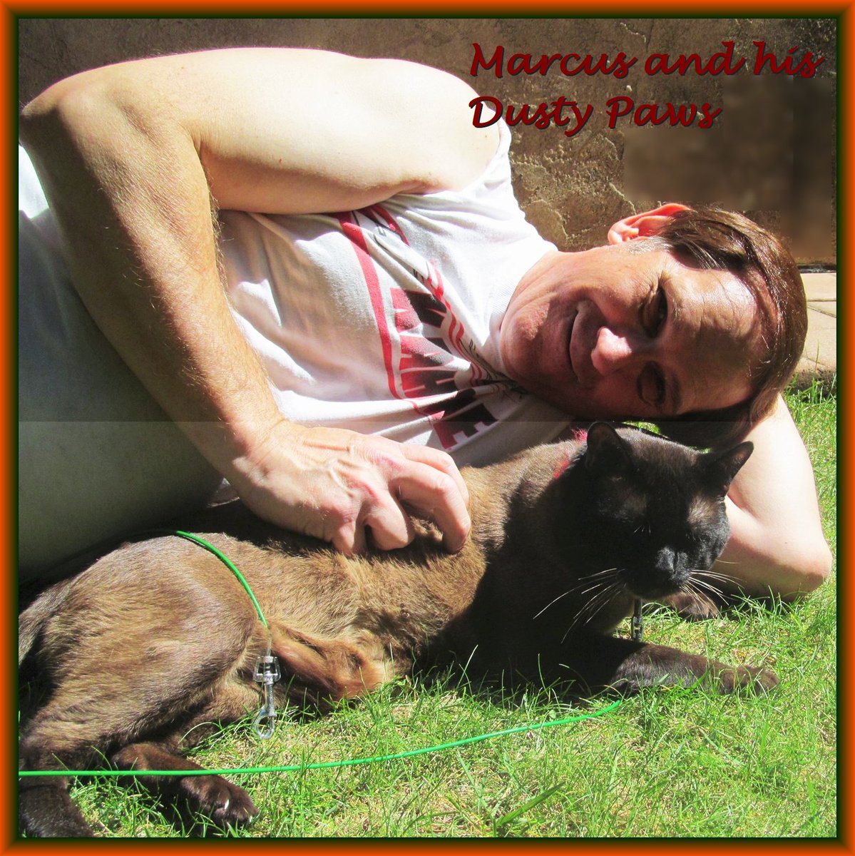 Provoice4TV's tweet photo. @nicrussin I am in LOVE with your cat!  Cats Rock my heart! https://t.co/aTby8EdUGz
