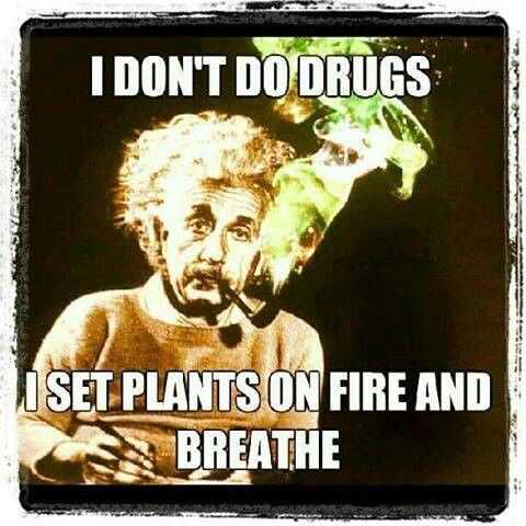 CTFOSmokeShop's tweet photo. I dont do drugs, I just set plants on fire and breathe
#weed #smoking #cannabis #bong #weedInfo
#marijuana #CTFOSmokeShop #THC #WeedUK #WeedMemes #WeedHumour #StonerComedy https://t.co/ucBsNiOthp