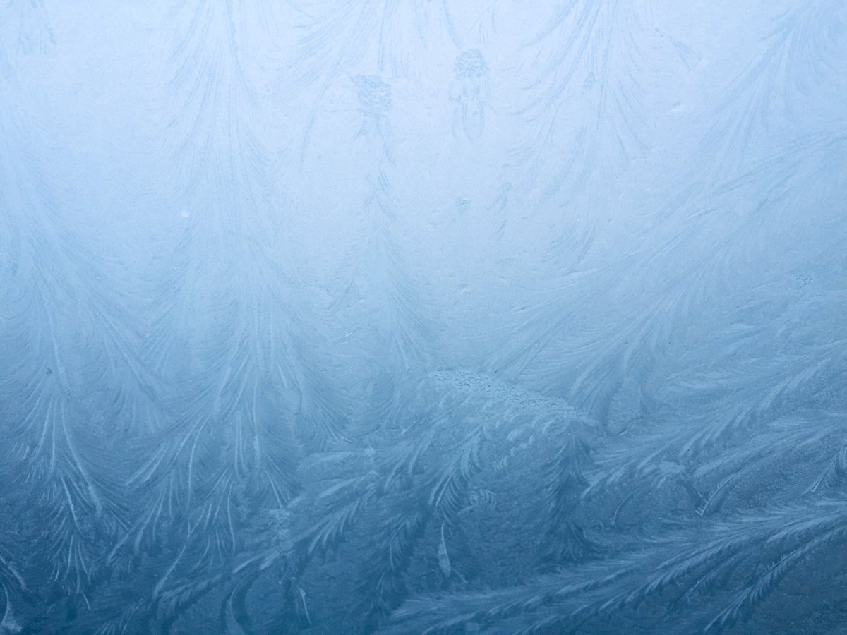MBES_ITRT's tweet image. Mother Nature’s chilling ❄️ beauty on my windshield this morning!