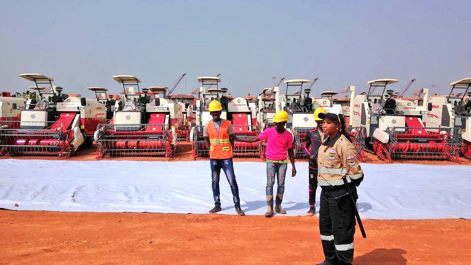 alphacondepresi's tweet photo. - En investissant dans l'exploitation de nos ressources minières, n'oublions pas de développer l'agriculture. C'est notre avenir...
#Dapilon #Boké #Guinée https://t.co/ShnSOkPYuc