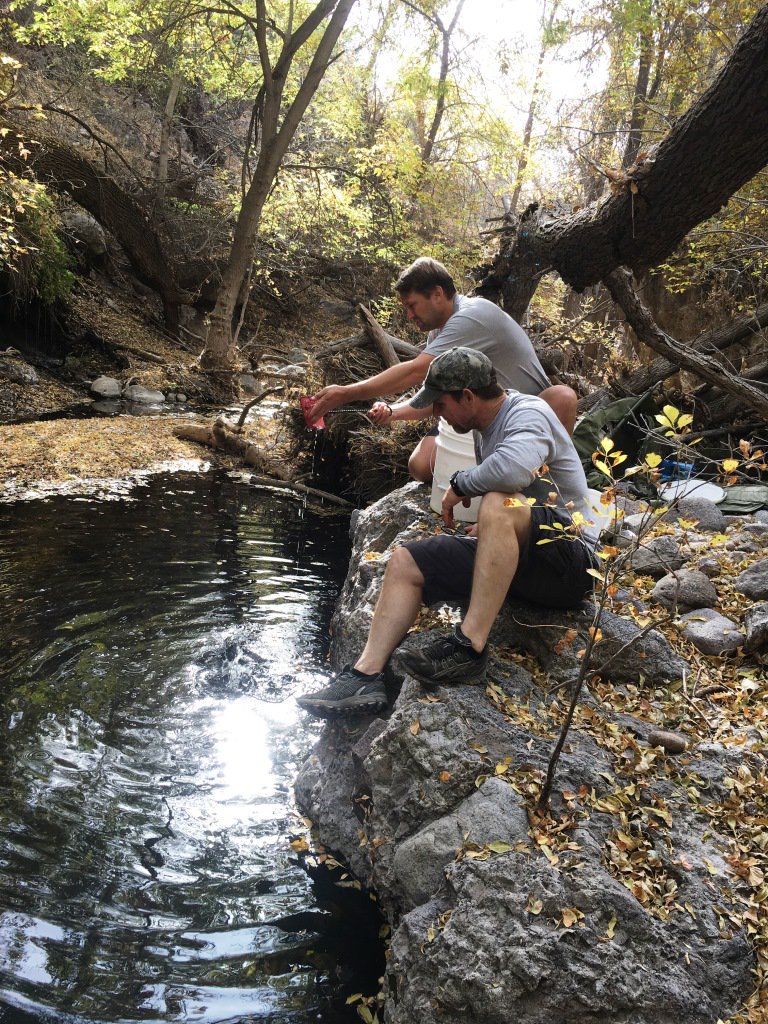 Inthecurrentaz's tweet image. Native Fish Assemblage Increases in East Ash Creek - inthecurrent.org/waders-in-the-…