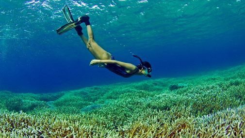 classytours's tweet image. Passikudah consists of a crescent shaped bay of white sand which is surrounded by clear aquamarine blue water.