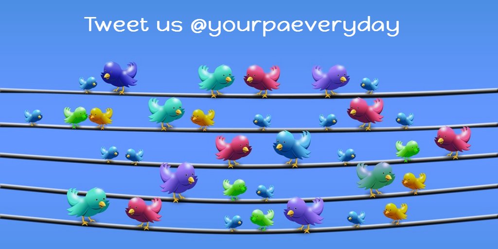 #tweetme #prices #pa #Administrative #socialmediamarketing