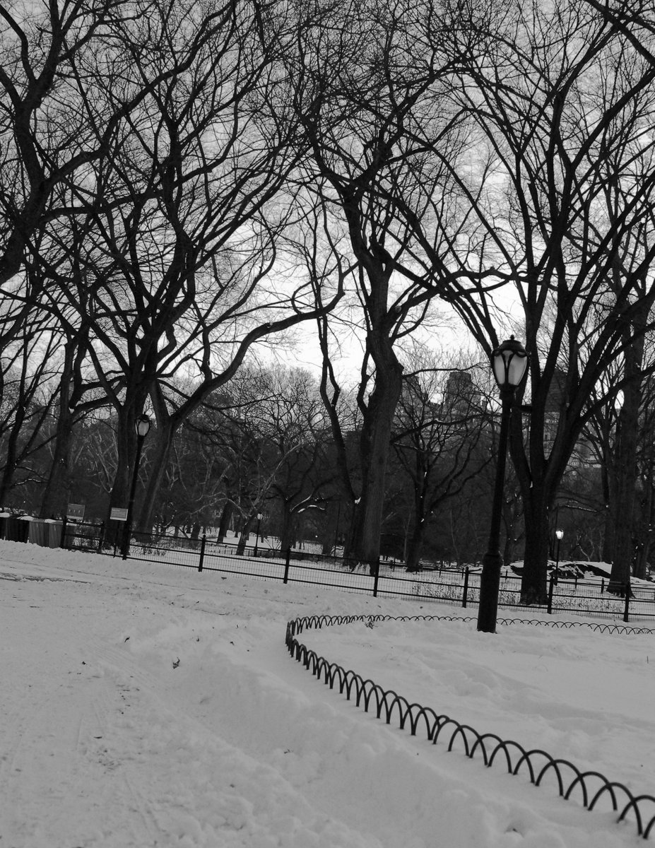 Syeckes's tweet photo. #TangledBark The Morning After First #Snow of 2018
#NYC #Nature #NewYork #aypclub #blackandwhite #branches #centralpark #centralparknyc #classicnyc #historicnyc #leafless #leaflesstrees #manhattan #morninglight #pov #solitude #streetphotography #trees #uppereastside #urbangarden https://t.co/a9B1uY9eRN