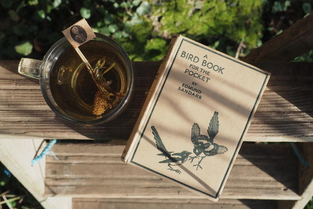 gr8thingstodo's tweet photo. Soaking up precious moments of winter sun by kicking back in the garden with a tea 😊👌☀️ 

Birds struggle to find food in the colder months so why not set up a bird table? We're getting to know our new visitors in this little old book 🐤 #TuesdayThoughts #nature #birdwatching https://t.co/m1L6q55Zob