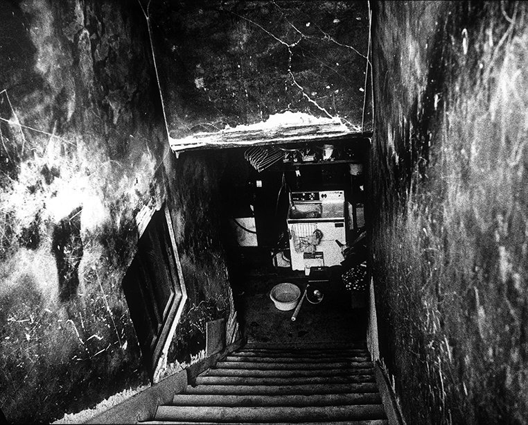 InvestWthD's tweet image. Miyako Ishiuchi