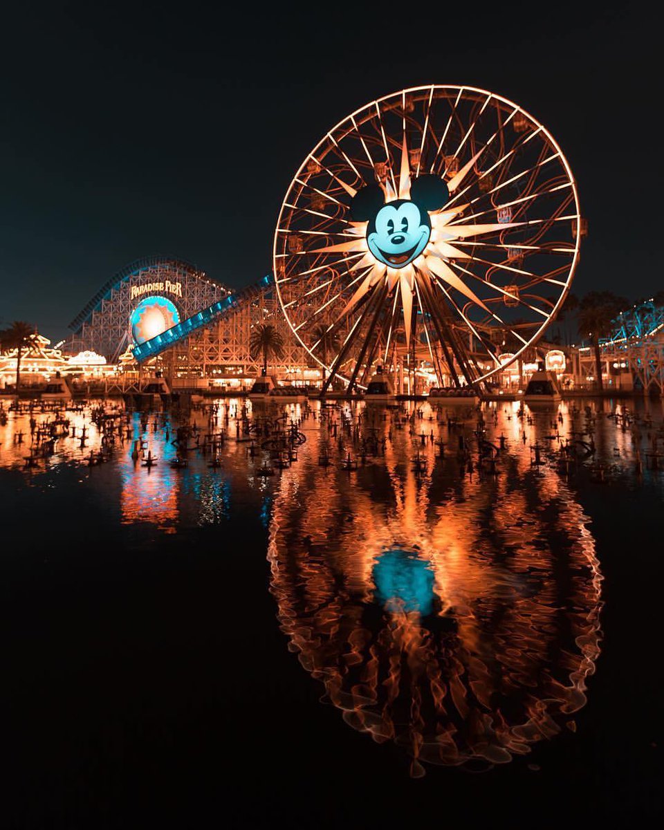 PhotoMove_'s tweet image. #photo #photography #photographer #photographers #foto #fotografia #fotografo #fotografos #fotografos_brasileiros #girl #woman #ensaio #ensaiosensual #instagood #instamood #picoftheday #photooftheday #tagsforlikes #canon #nikon #sigma #yongnuo #iphonesia #follow #Disney