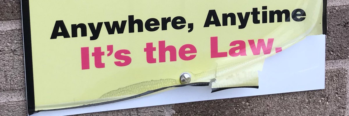 //well if you insist