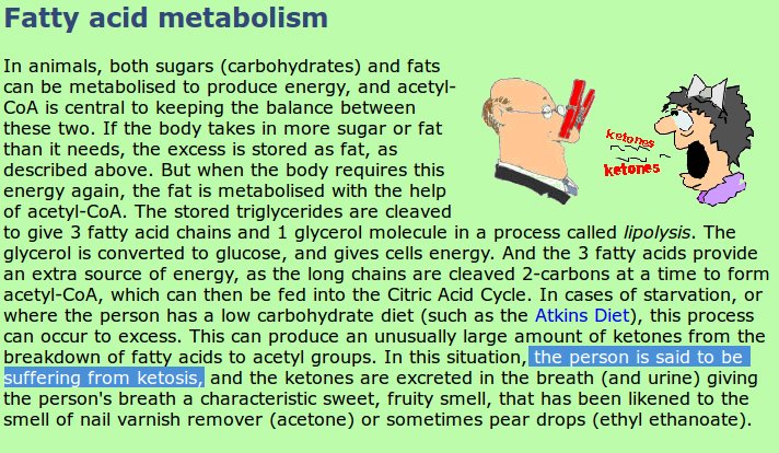 Snapshot illustrating the "suffering" that "excess" ketones induce