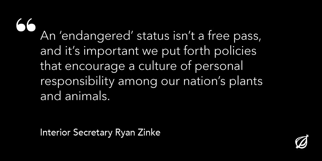 TheOnion's tweet image. .@SecretaryZinke: “Effective immediately, America’s at-risk species must prove they are making an effort to find a different ecosystem to live in if they wish to obtain government assistance for their continued survival.” trib.al/oKhGoRJ