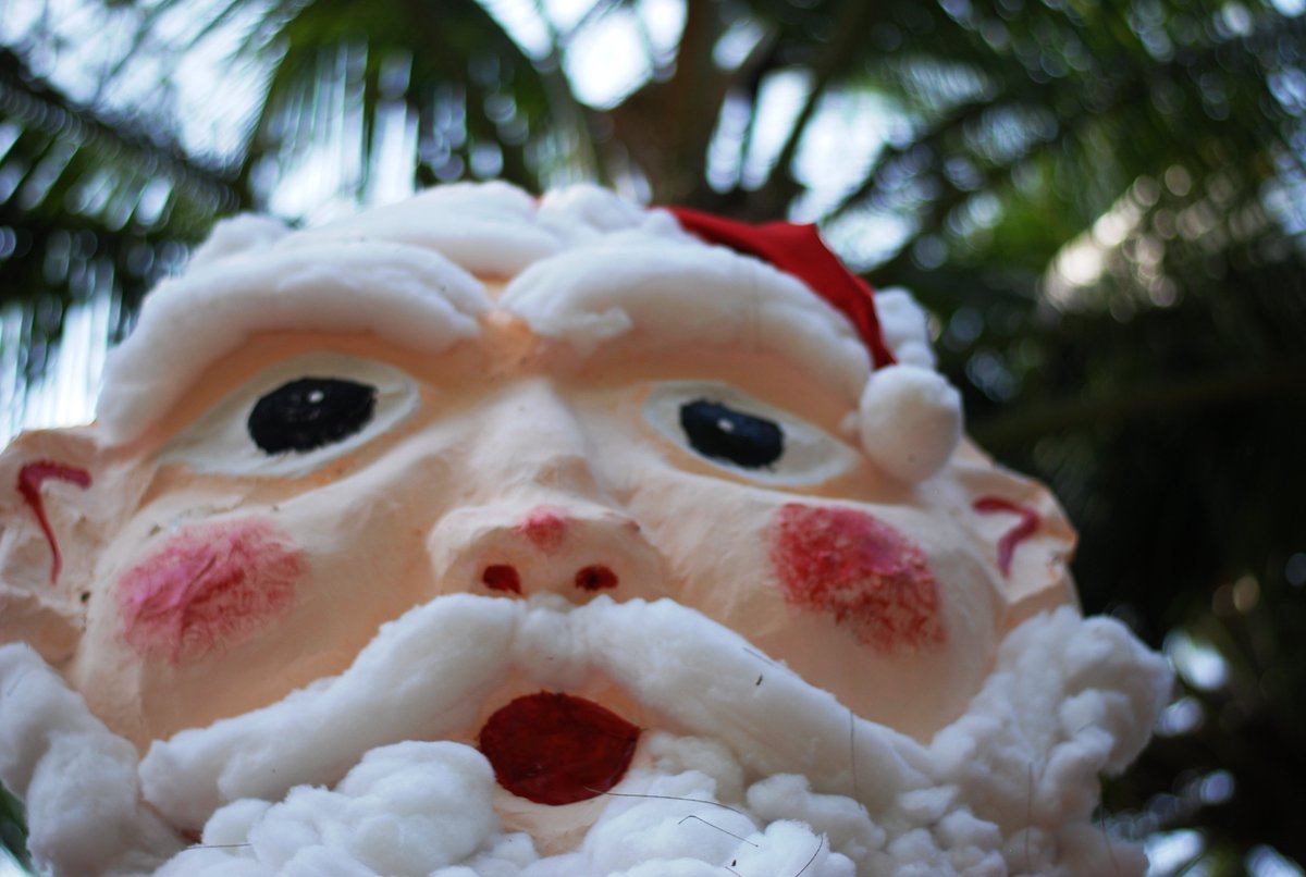 shahmonger's tweet photo. @workshopplay #xmasingoa https://t.co/yHmKhNrvxf
