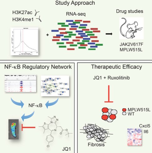 Symbol und soziologische Symboltheorie: Untersuchungen zum Symbolbegriff in Geschichte, Sprachphilosophie, Psychologie und Soziologie