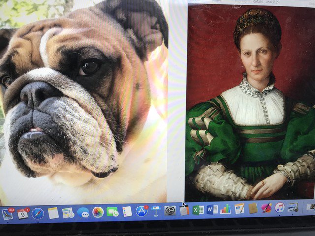 goofydogstudios's tweet photo. One of my upcoming projects.  I am so so excited to do this piece justice.  The entire painting will be completed with a size 20/0 and 12/0 brush.  I am so excited to share the progress soon  #dogs #dogart #dogsofinstagram #petportraits #dogsofinsta #bulldog #dogartist https://t.co/hPgwHPS5Ax