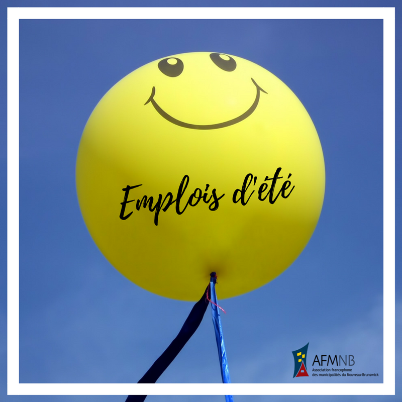 AFMNB's tweet image. Plusieurs programmes de financements sont disponibles pour vous permettre d’embaucher des étudiants collégiaux/universitaires pour le printemps-été 2018. Visitez ces différents sites web pour plus d&apos;info. 
goo.gl/Ndr2yv
goo.gl/bPJfsF
goo.gl/kVVgwq