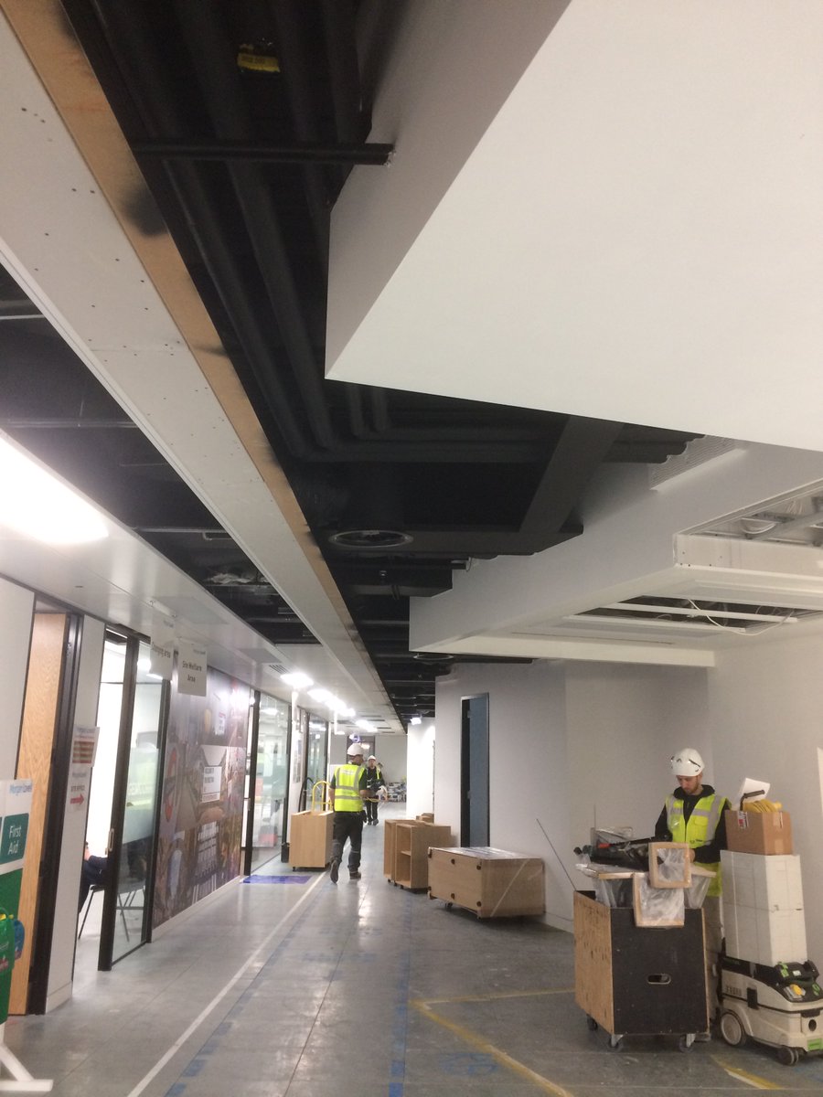 Morgan Lovell Pa Twitter Curious To See What S Above The Ceiling