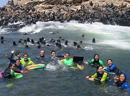 VistaAdventures's tweet photo. Humans and #sealions swimming together? Yeah! It's possible. Explore the nature of the #PalominoIslands. Daily #Tours from $79.00 https://t.co/ISDVHY7B5D