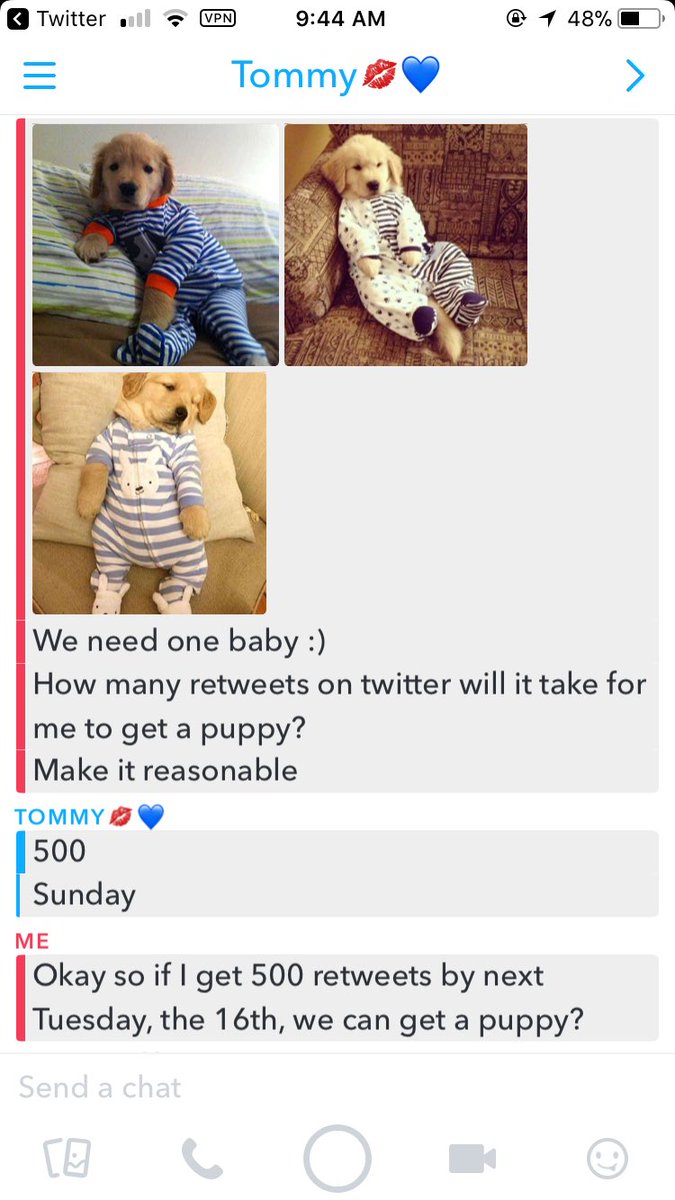 tristans531's tweet photo. Okay so if I get 500 retweets by next Tuesday I get to get a puppy!! Help a girl out!!! Retweet if you think they’re cute 😍😁🐶 AND GO! https://t.co/HpGz7J6LbO