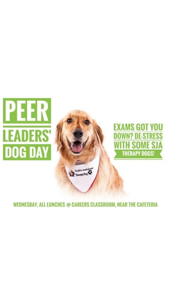 Peer_LeadersCC's tweet photo. Exam time has begun and we know that this time can get stressful. As a result we’re bringing therapy dogs in as a way to de-stress! 💗☘️☘️ https://t.co/piIXYE4WBn