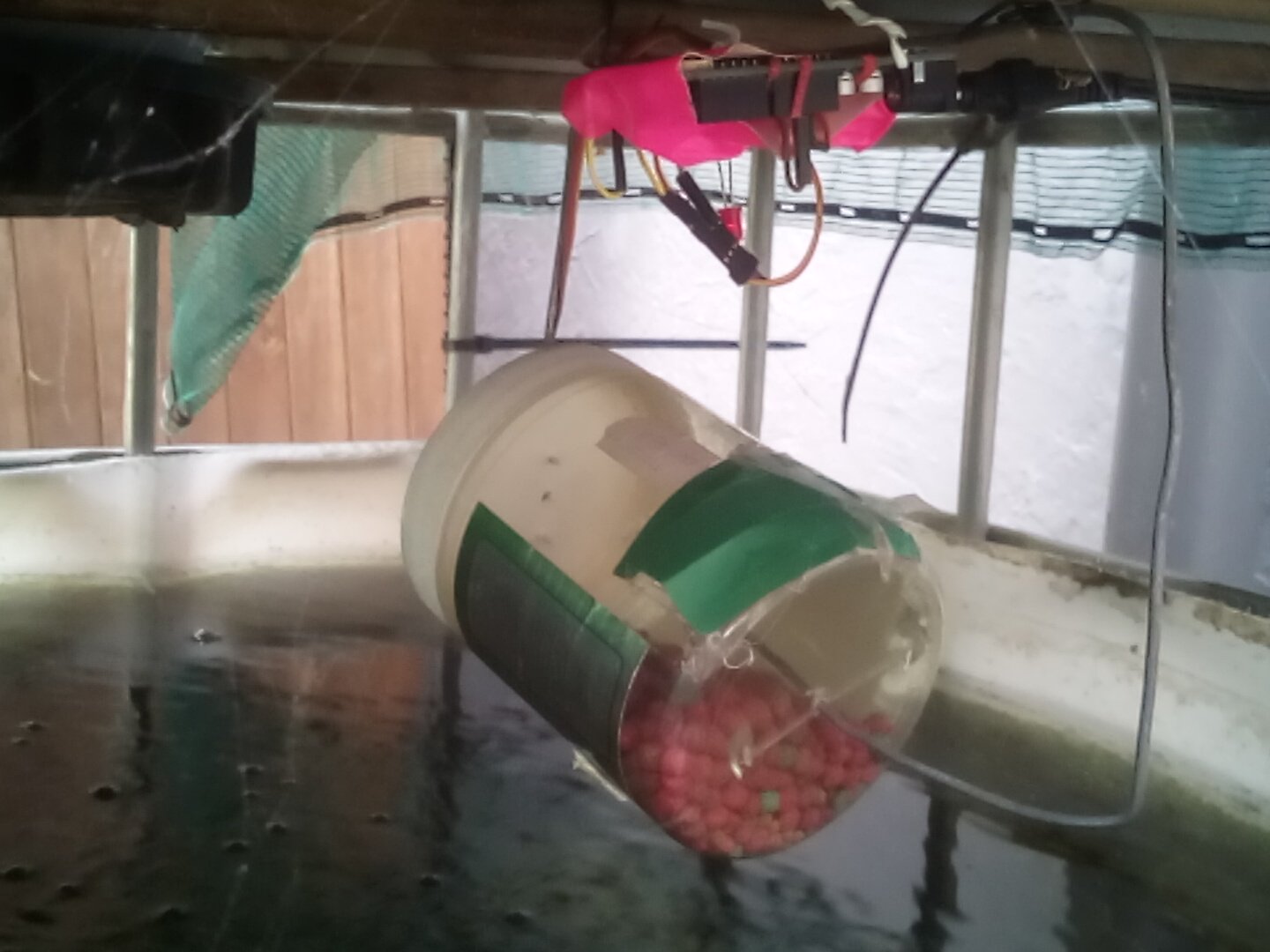 Aquaponics automatic fish feeder hot sale