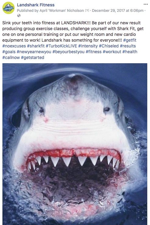 LandsharkFit's tweet photo. https://t.co/IvpL038DYm