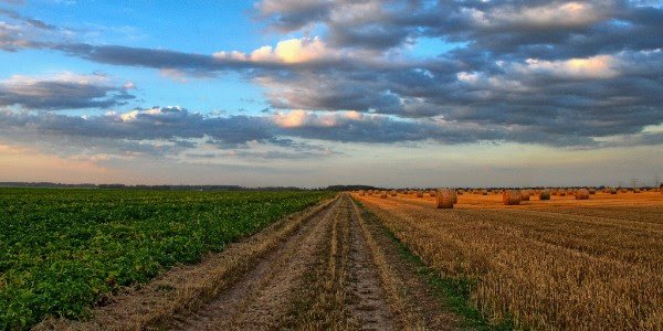 globalaginvest's tweet photo. Over the near to medium term, the level of institutional interest in farmland will depend on the targeted allocations within portfolios for real assets. Read more insight like this in the GAI Gazette story https://t.co/70ZHmO3VtL #assetallocations #aginvesting #farmland https://t.co/diLrY0M1xZ