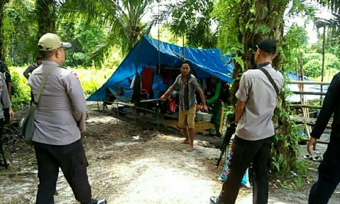 #PalmOil giant Wilmar International implicated in police shooting of two farmers on oil palm estate in #Indonesia forestpeoples.org/en/responsible… #HumanRights #LandRights