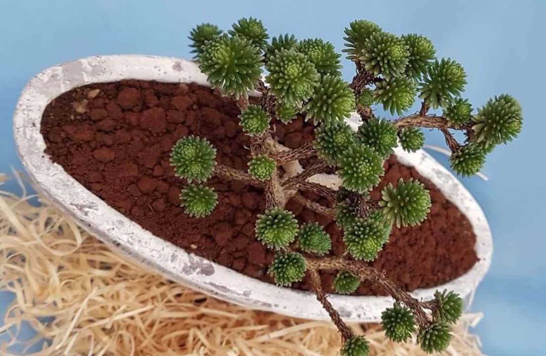 touk1978's tweet image. 