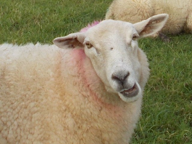 woodlandsft's tweet photo. Finding January a bit gloomy? Well we have lots for you to look forward to at the farm with our upcoming events now on our website https://t.co/v6rngFEUW2 Something definitely to smile about! https://t.co/3GuDHr4E6a