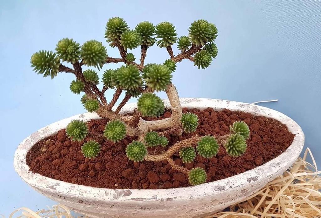 touk1978's tweet image. 