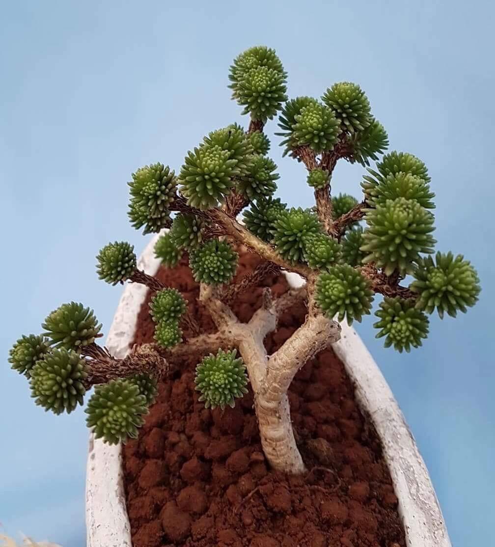 touk1978's tweet image. 