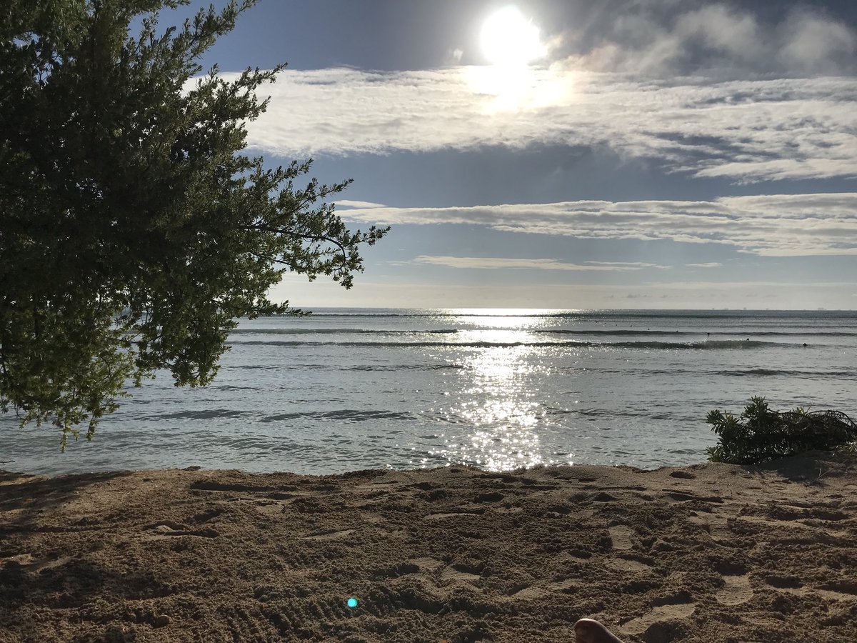 a7xstu's tweet photo. Bit of a shitty view for January but hey ho we in Mexico 👍👍🍺🍺🍺🥤🥤#mexico #yucatanprincess https://t.co/wYeraVH06A