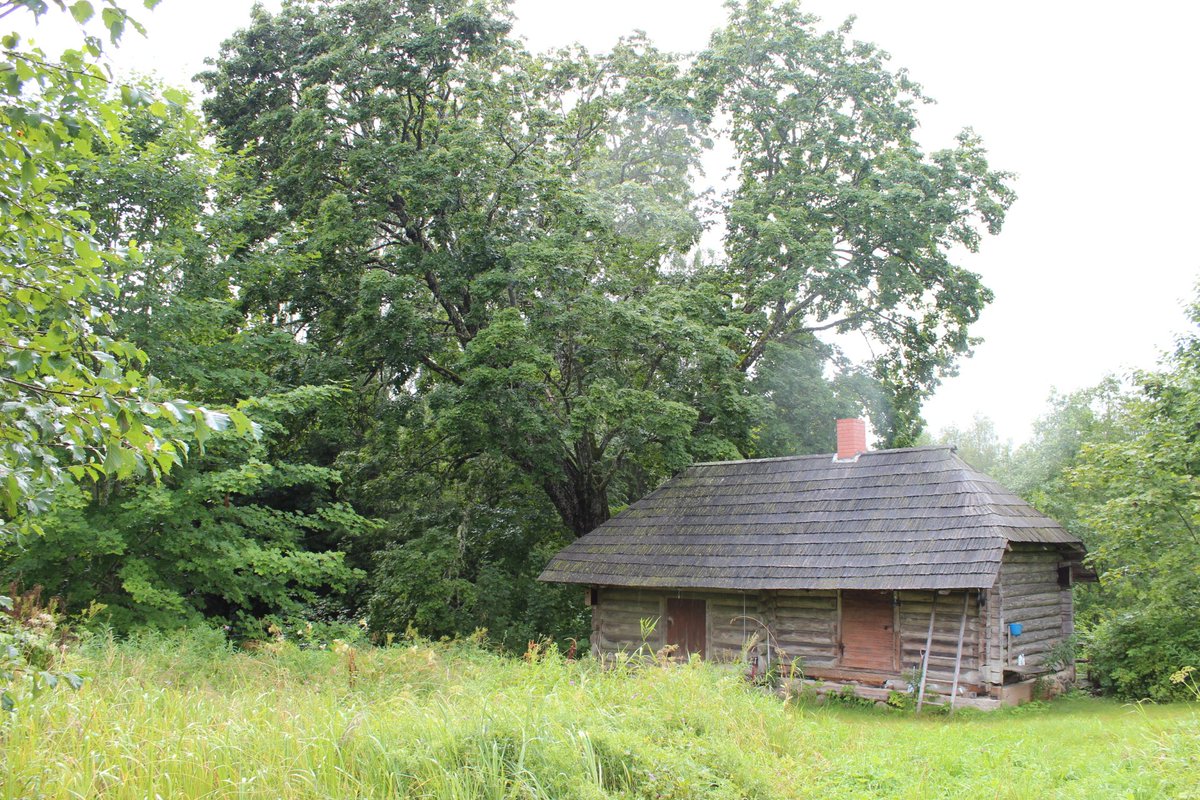 Helena-Reet: Köyhät ihmiset ovat katkeroituneita, kateellisia ja pahantahtoisia ohmygossip.fi/articles/4030-… #HelenaReet #bestblogs #scandinavian #ihmiset #blogi #bloggaaja #NordicBloggers #OHMYGOSSIP