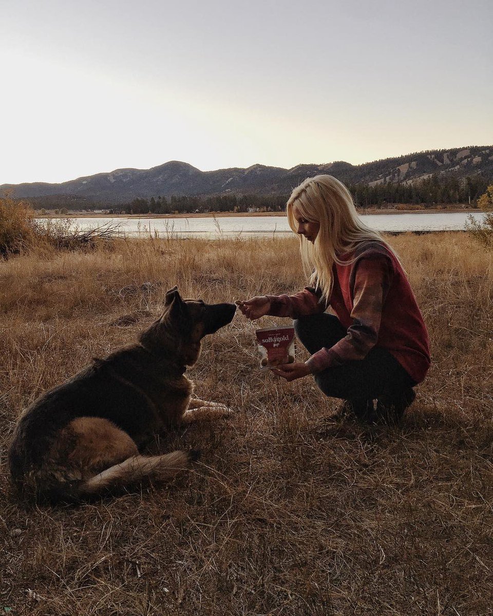 The perfect treat after an adventure. Learn more here: solidgoldpet.com/superfoods-tre…