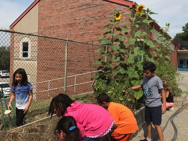 RestaurantWeek's tweet photo. #KCRW2018 featured beneficiary, @kc_gardens, will use proceeds to support their schoolyard program. Info: https://t.co/yoe2uYvMb3 https://t.co/GKIAVwpx6K