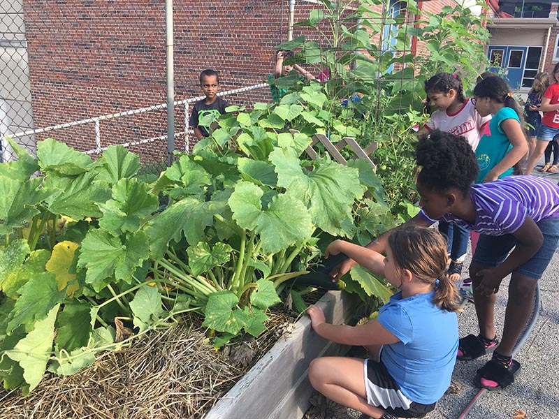RestaurantWeek's tweet photo. #KCRW2018 featured beneficiary, @kc_gardens, will use proceeds to support their schoolyard program. Info: https://t.co/yoe2uYvMb3 https://t.co/GKIAVwpx6K