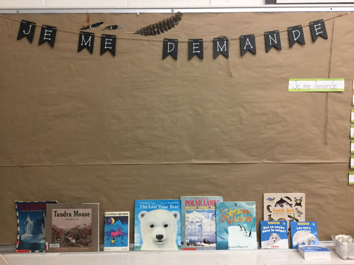 mmejacquie's tweet photo. Our #wonderwall before we asked questions about the arctic and arctic animals. I wonder what the students wonder? Je me demande... #inquiry #fsl #situationauthentique https://t.co/cqkHSg15ux