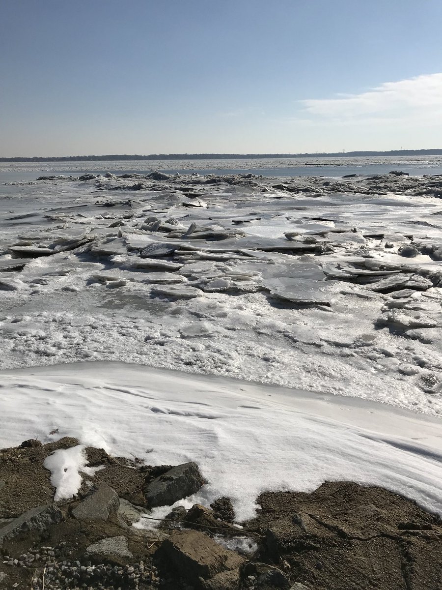 New Castle Weekly tweet media