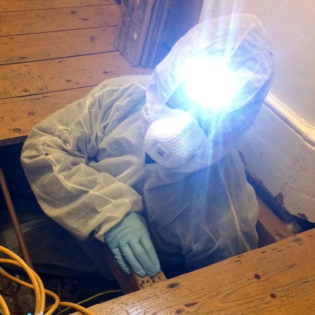 McCurdyDesigns's tweet photo. Going under! Just thought I'd have a look beneath the floorboards of my house to investigate the condition of the timbers. Not all home improvements and maintenance are visible...
Keep an eye out for my next blog on this.
#homeimprovement #floorboards #h… https://t.co/LAOc4yYPd5 https://t.co/V2BdV468Qn