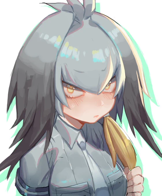 ハシビロコウ 