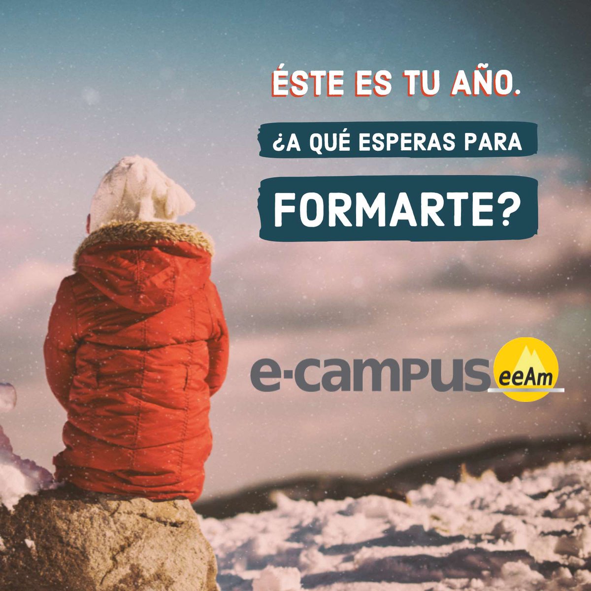 EEAM-FEDME tweet media